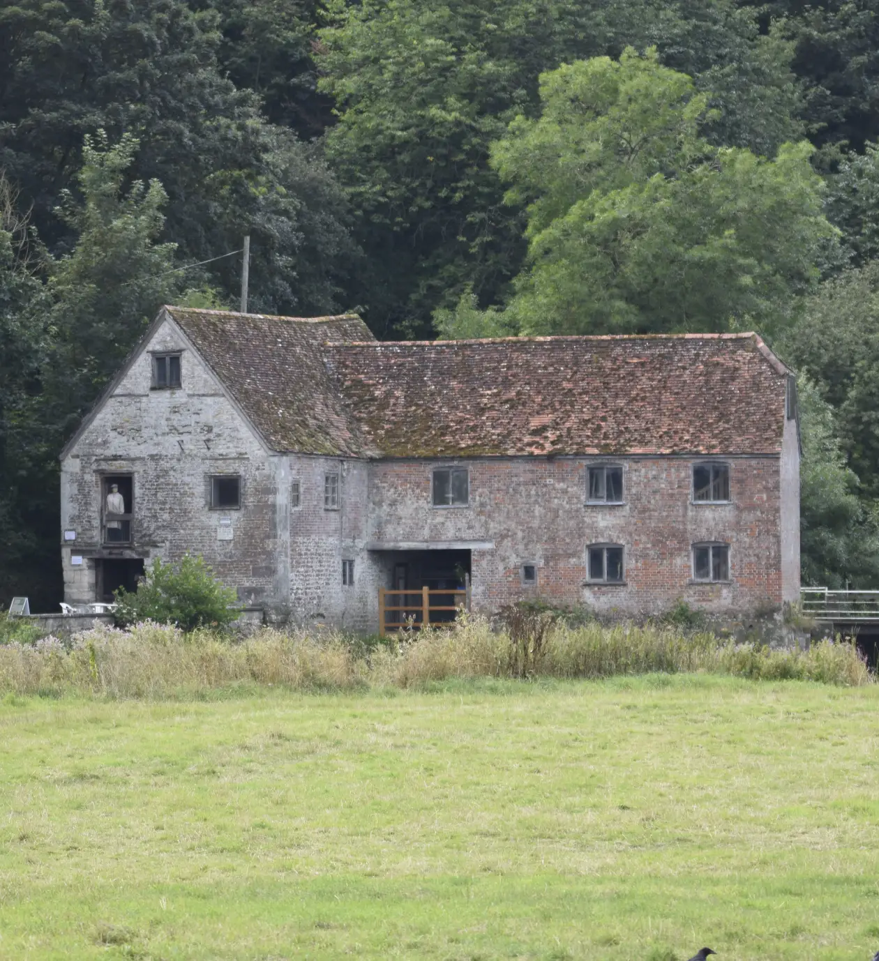 Sturminster Newton Cheese Festival