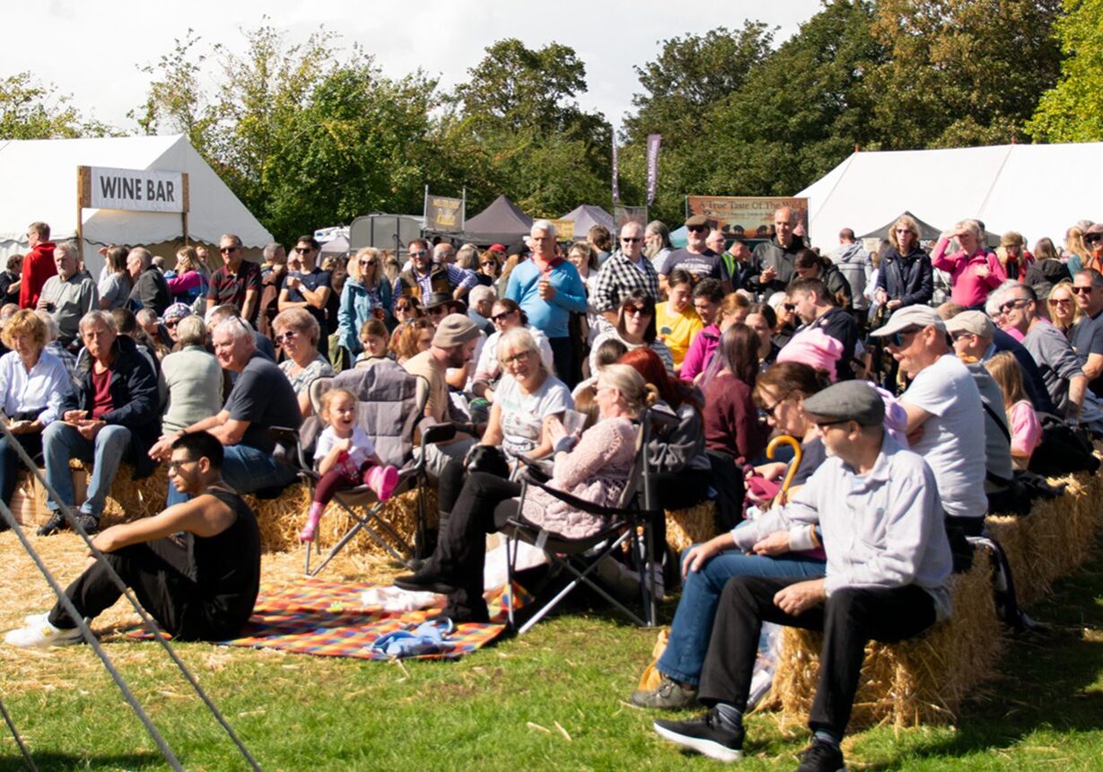 A large crowd gathered outdoors enjoying an event on a sunny day.
